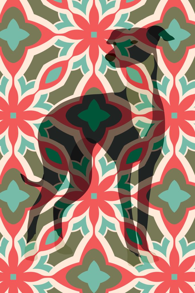 Tall Boy JPG 683x1024
